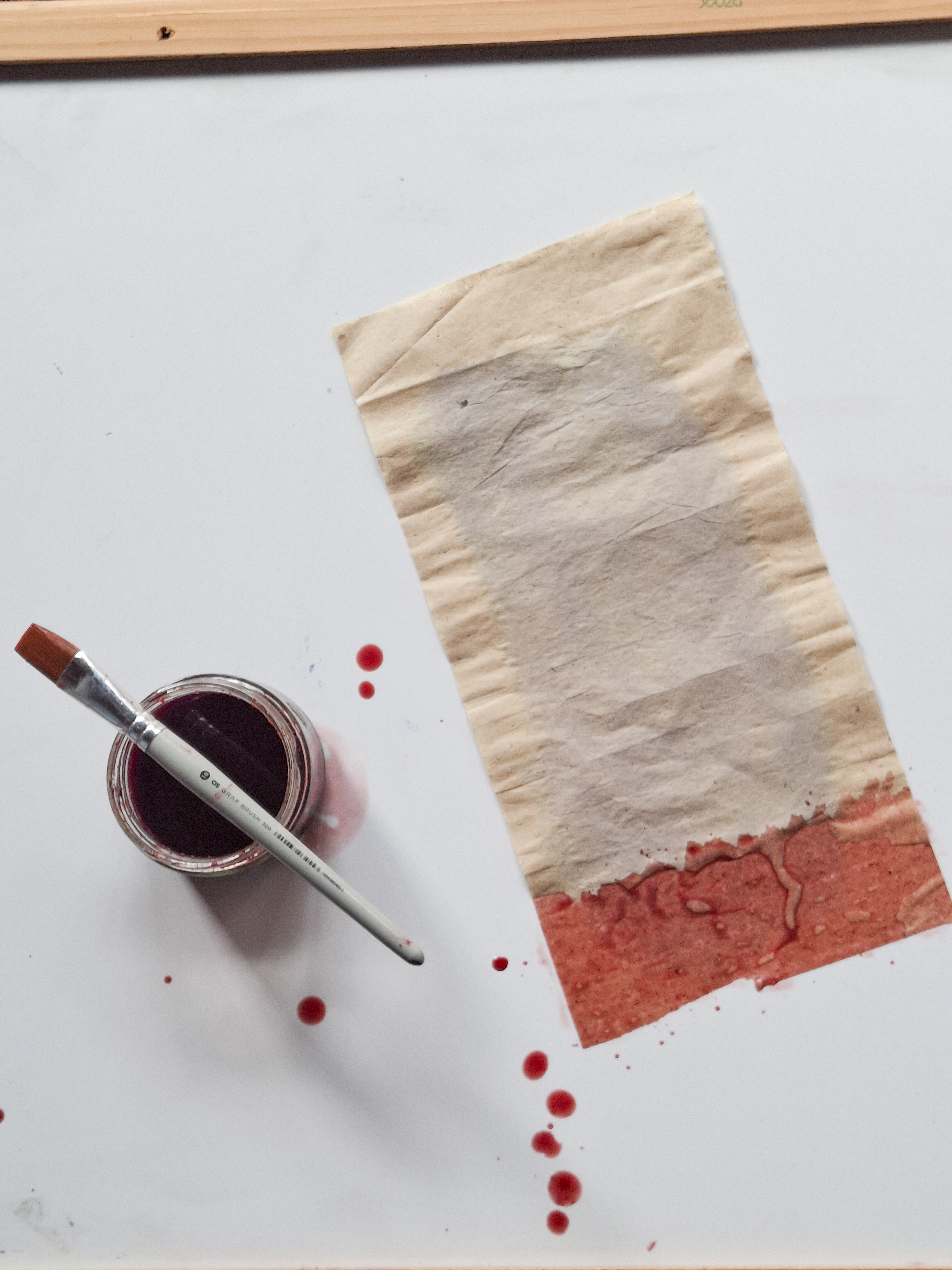 Processo — papel e pigmento
