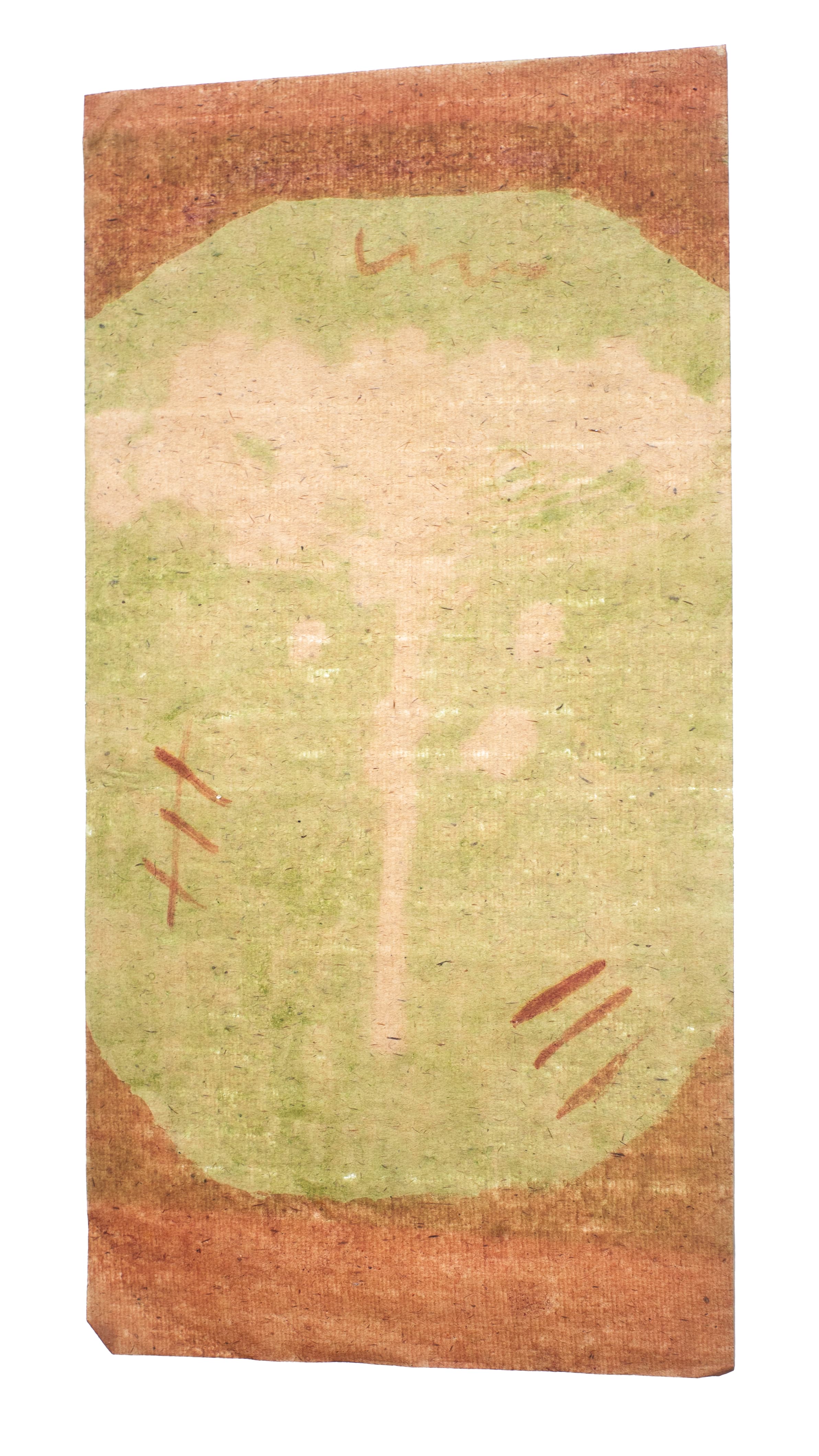 Araucária — urucum e espinafre
