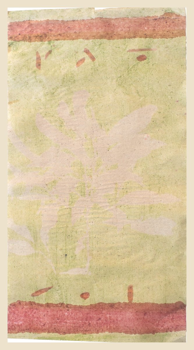 Antotipia de uma árvore ameaçada, com pigmento vegetal sobre papel de cânhamo