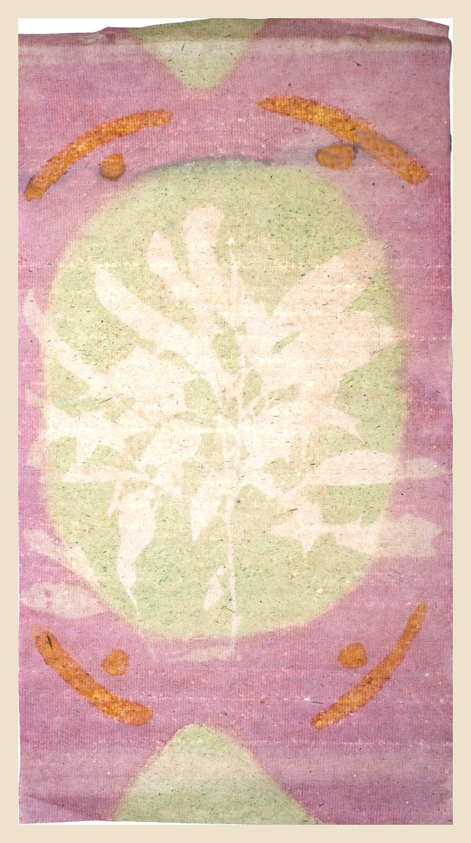 Antotipia de uma árvore ameaçada, com pigmento vegetal sobre papel de cânhamo