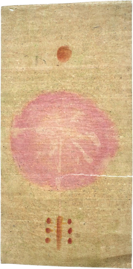 Antotipia experimental, resultado não esperado