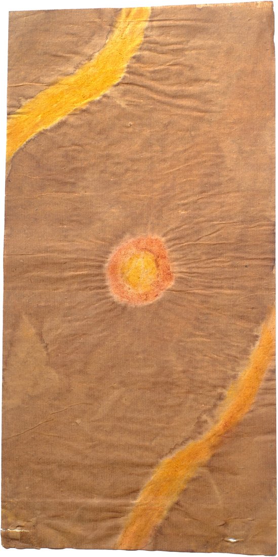 Antotipia experimental, resultado não esperado