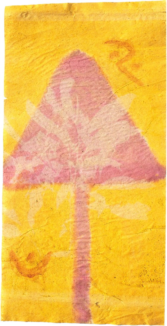 Antotipia experimental, resultado não esperado