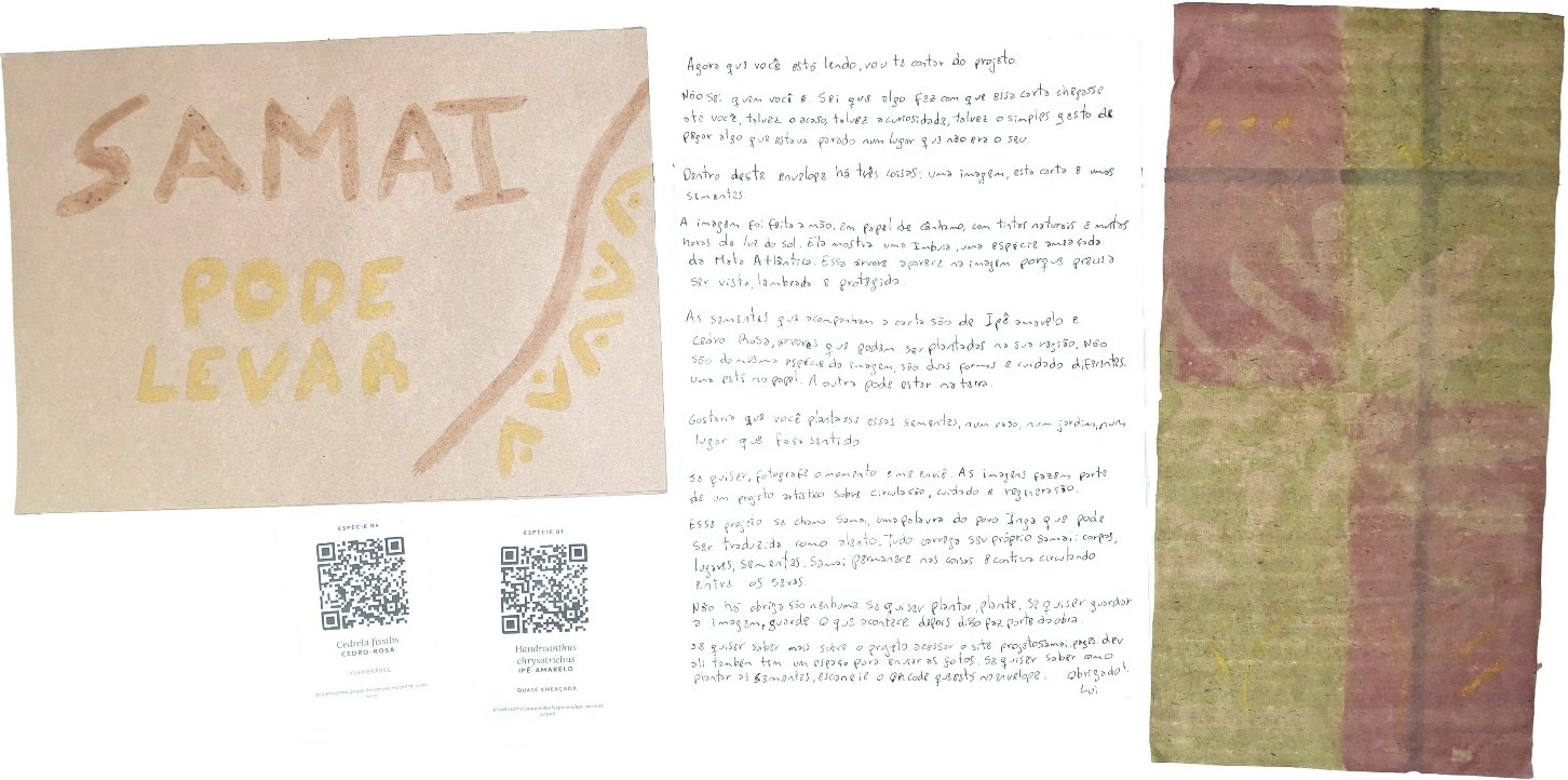 Conteúdo do envio Samai: imagem em antotipia, carta manuscrita e sementes